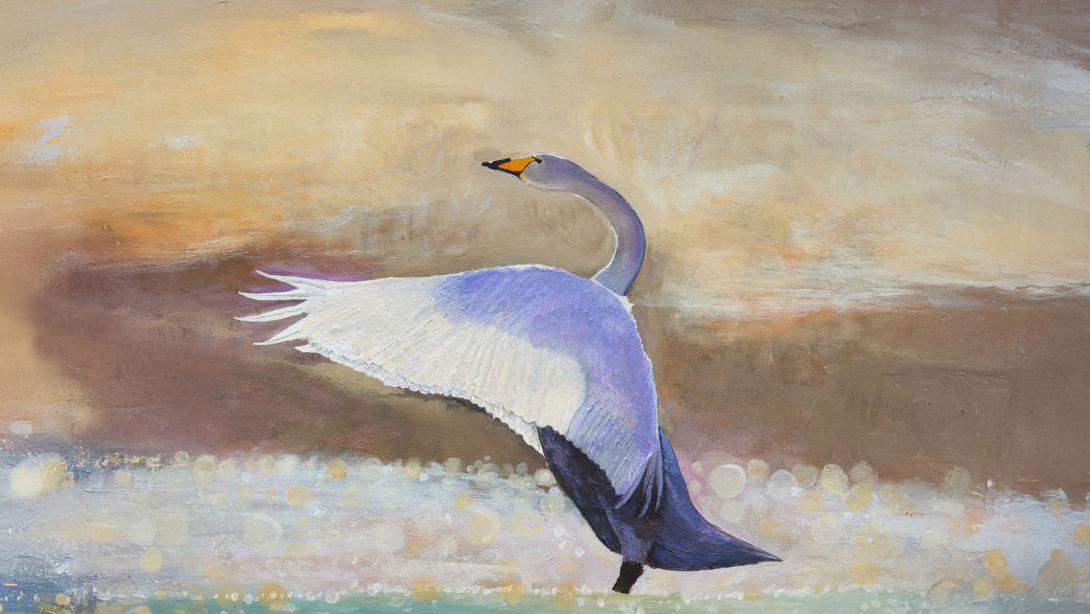 Flight to Freedom – Koestler Arts